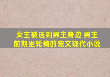 女主被送到男主身边 男主前期坐轮椅的宠文现代小说